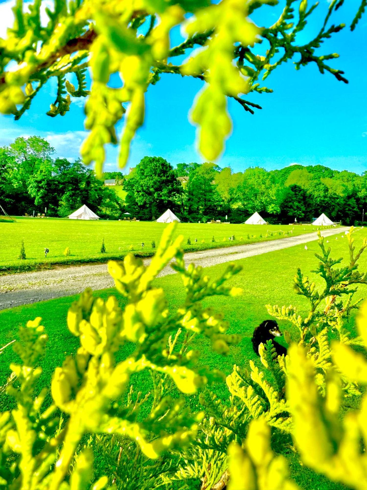 Cayoretreat Luxury Bell Tent Clodock Dış mekan fotoğraf
